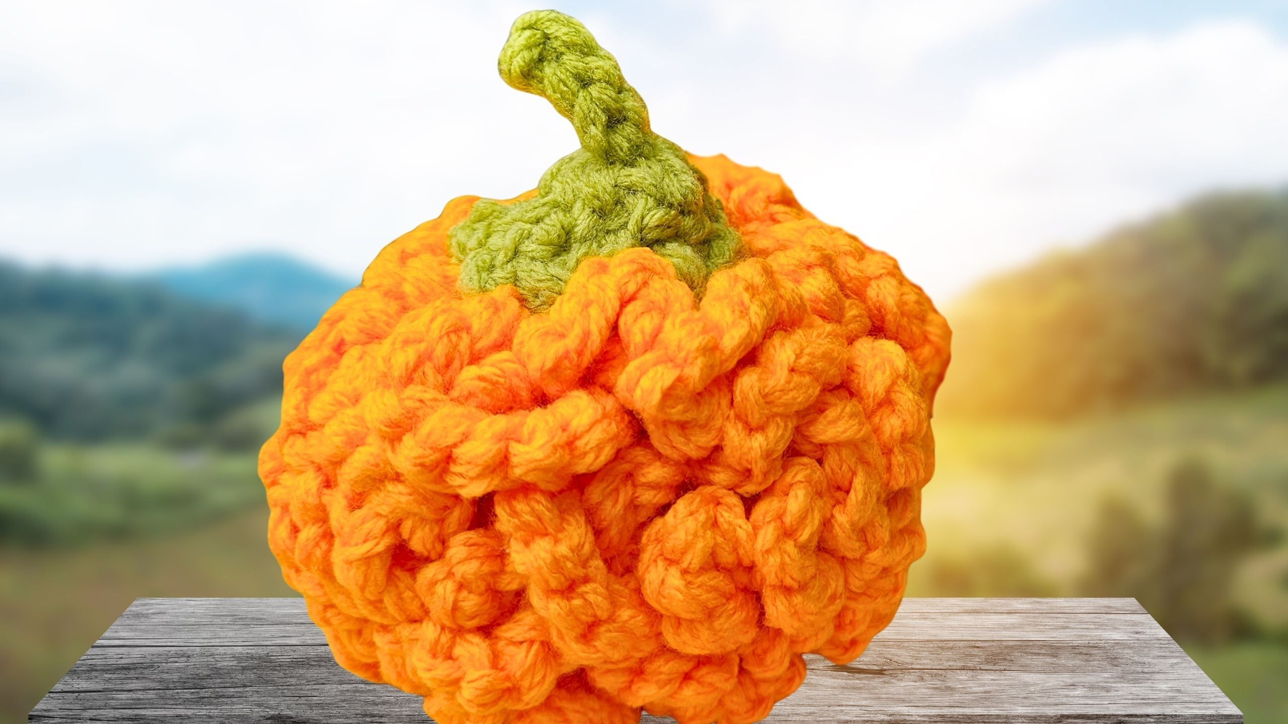 Crochet a Simple No-Stuff Pumpkin! Beginner, No Fiberfill!