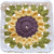 Simple Sunflower Granny Square - The Secret Yarnery