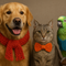 Crochet for Pets: Easy, Safe DIY Ideas for Cats, Dogs & Birds