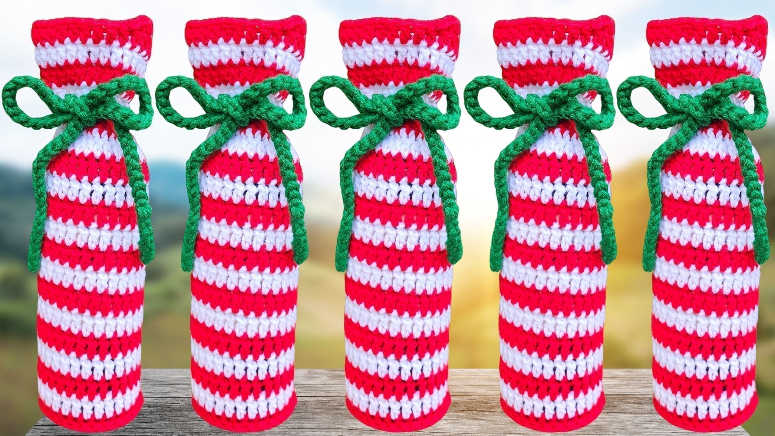 Candy Cane Crochet Wine Bag Pattern, My Fast 2025 Gift Idea