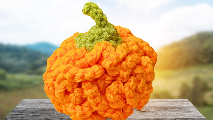 Crochet-a-Simple-No-Stuff-Pumpkin-Beginner-No-Fiberfill Secret Yarnery