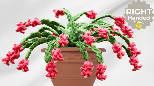 How to Crochet Christmas Cactus That’s Perfect for Holiday Decor