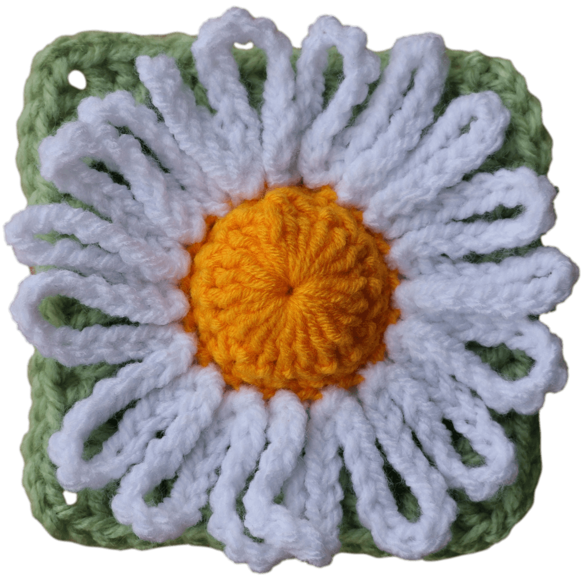 Amazing Crochet Daisy Granny Square BloomScape CAL Part 10