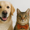 Crochet for Pets: Easy, Safe DIY Ideas for Cats, Dogs & Birds