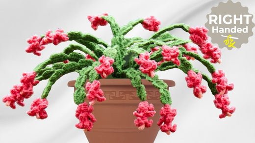 Gorgeous Christmas Cactus Crochet Pattern: Perfect Low-Maintenance Holiday Decor - Secret Yarnery