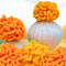 Giant Marigold Crochet Flower for Easy DIY Diwali Decor 2025