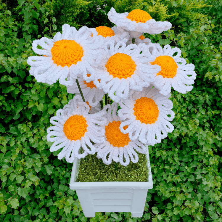 Plants & Flowers.