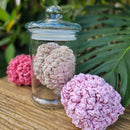 Easy DIY Halloween Crochet Brain Written Pattern Secret Yarnery