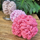 Easy DIY Halloween Crochet Brain Written Pattern Secret Yarnery