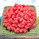 15 Crochet Patterns – BloomScape Blanket Bundle Secret Yarnery