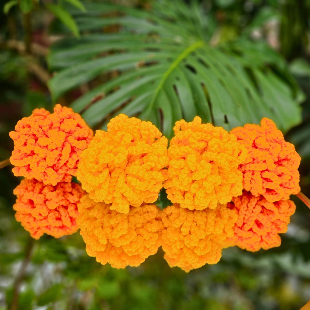 Giant Marigold Crochet Pattern for Easy DIY Diwali Decor!