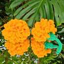 Giant Marigold Crochet Pattern for Easy DIY Diwali Decor! Secret Yarnery