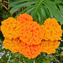 Giant Marigold Crochet Pattern for Easy DIY Diwali Decor! Secret Yarnery