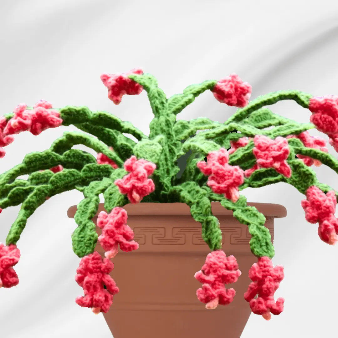 Amazing Crochet Christmas Cactus.