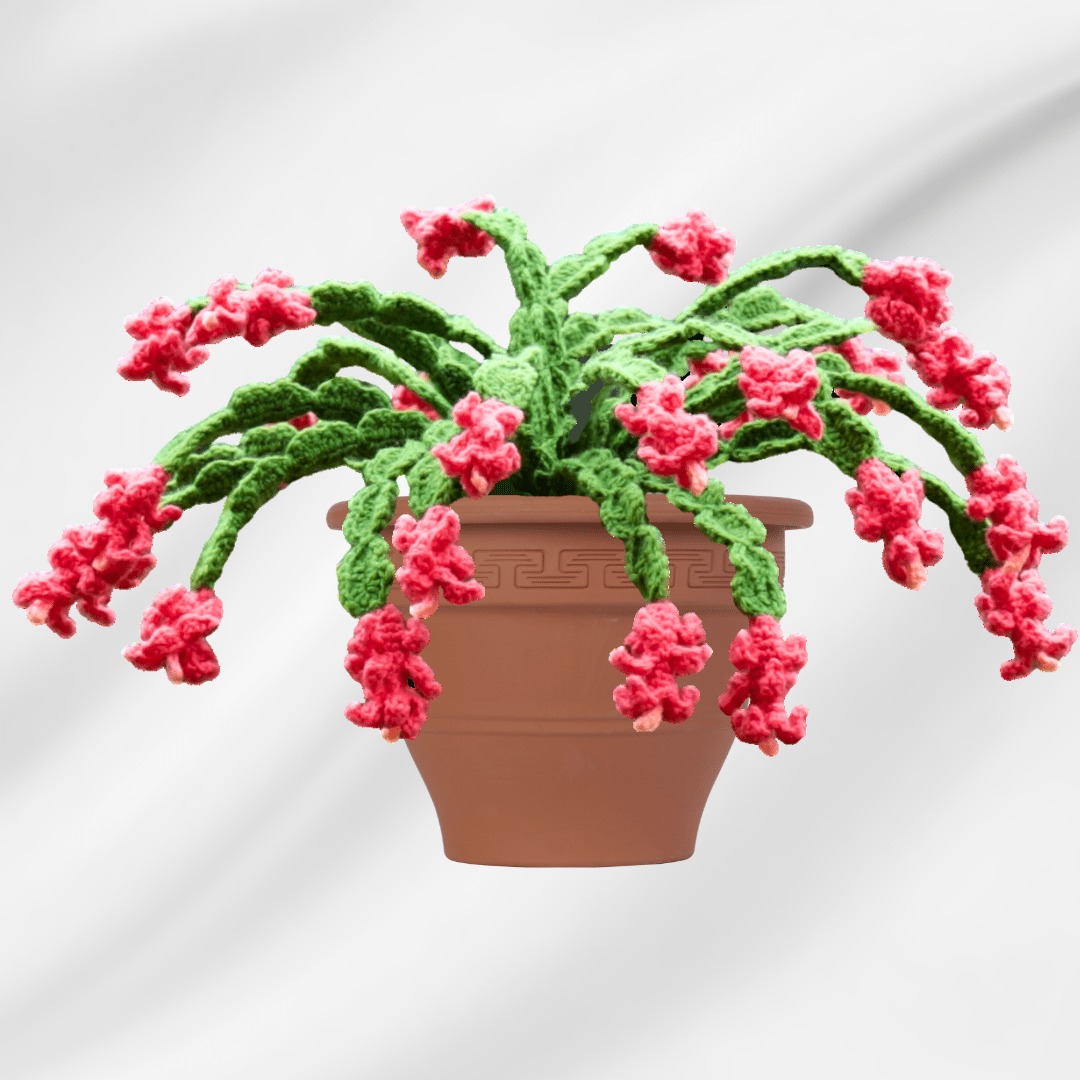 Amazing Crochet Christmas Cactus - Secret Yarnery