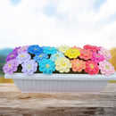 22 Crochet Gift Ideas for Mother’s Day – Easy Crochet Patterns Secret Yarnery
