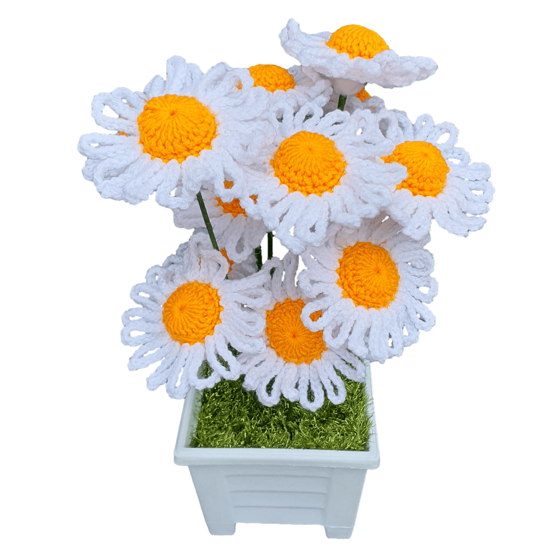 Amazing Crochet Daisy Flower Plant Pot.