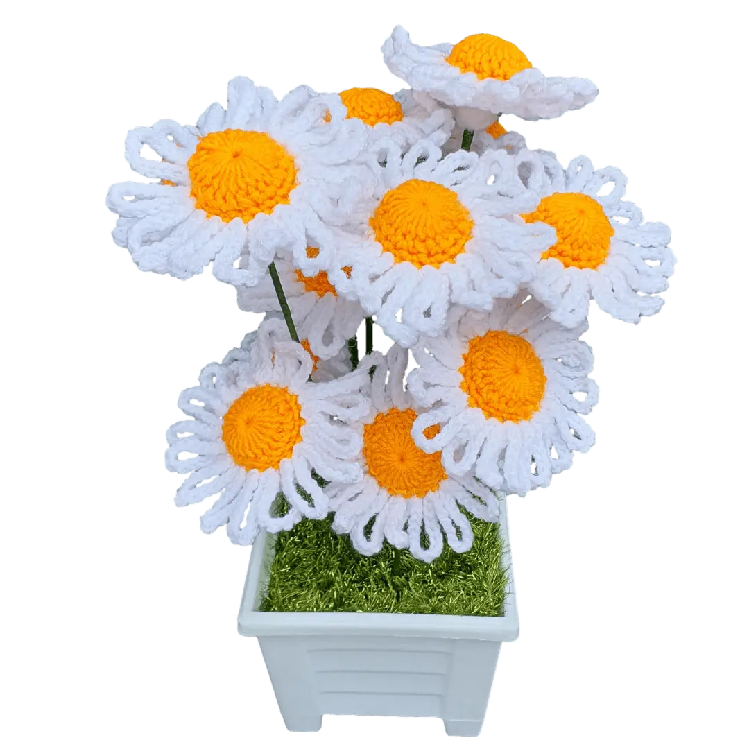 Amazing Crochet Daisy Flower Plant Pot.