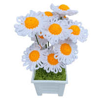 Amazing Crochet Daisy Flower Plant Pot.