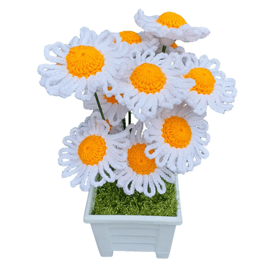 Amazing Crochet Daisy Flower Plant Pot.