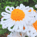 Amazing Crochet Daisy Flower Plant Pot.