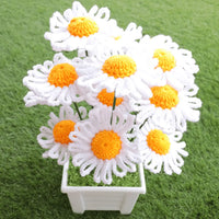 Amazing Crochet Daisy Flower Plant Pot.