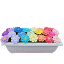 Crochet Flower Planter Box – Perfect for Indoor Window Decor.