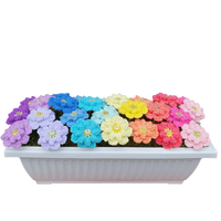 Crochet Flower Planter Box – Perfect for Indoor Window Decor.