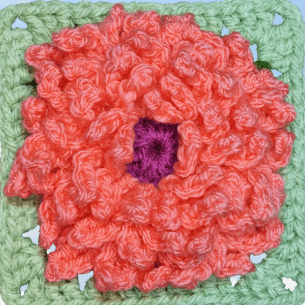 Daisy Crochet Flower Granny Square - Secret Yarnery