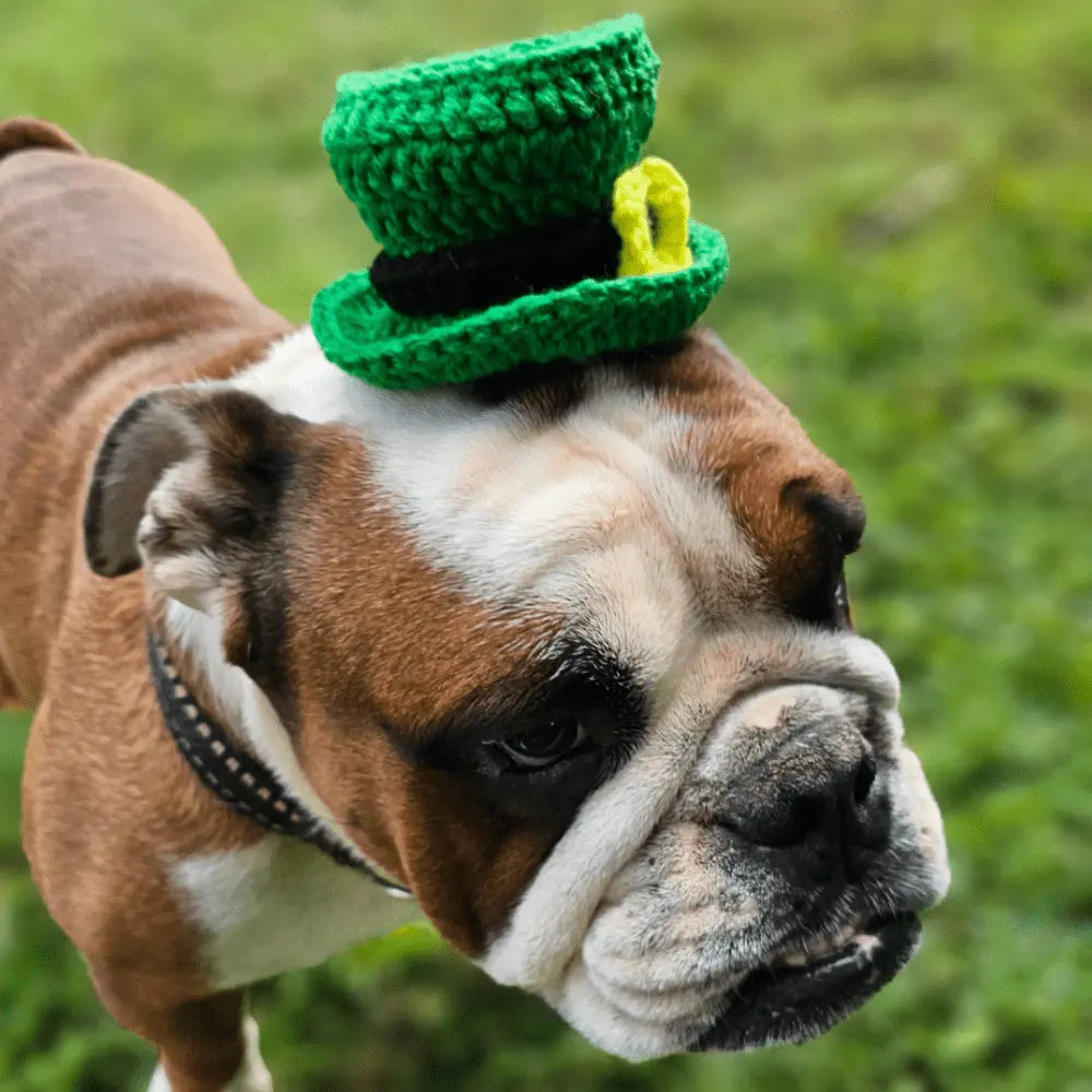 Crochet Leprechaun Hat Easy Crochet Clip On Style Secret Yarnery