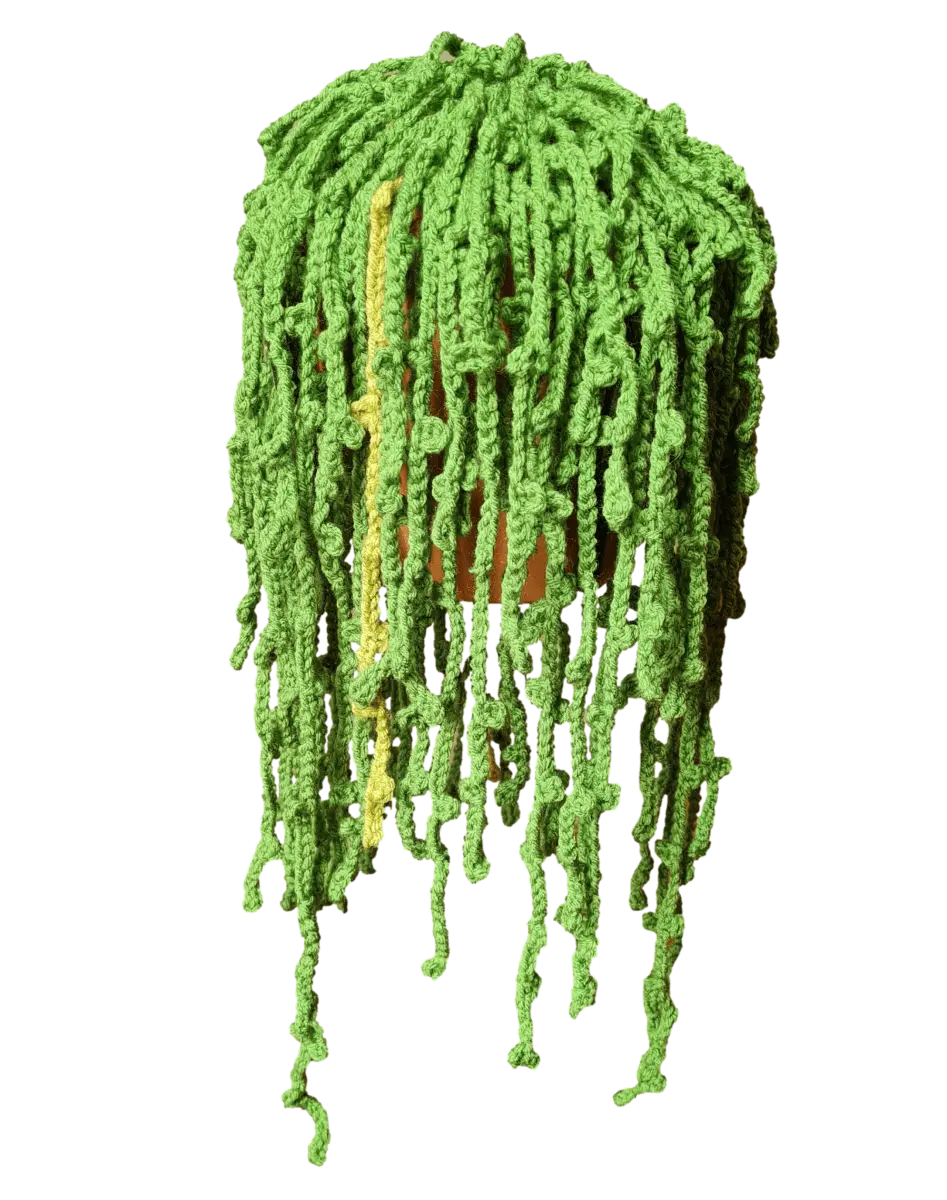 Easy Crochet String of Pearls Plant – Maintenance Free Crochet Plant.