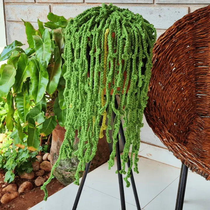 Easy Crochet String of Pearls Plant – Maintenance Free Crochet Plant